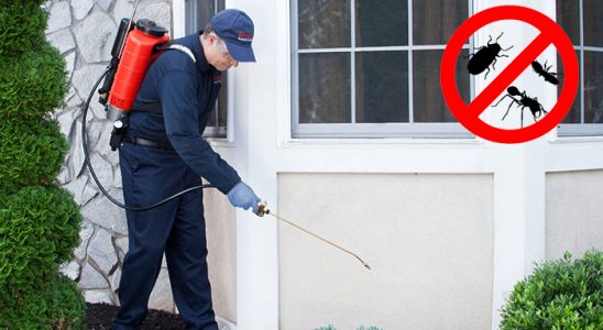 Durağan Dezenfeksiyon böcek ilaçlama ve haşere kontrolü — ilaclama-tr.com